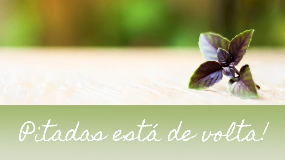 Pitadas de volta