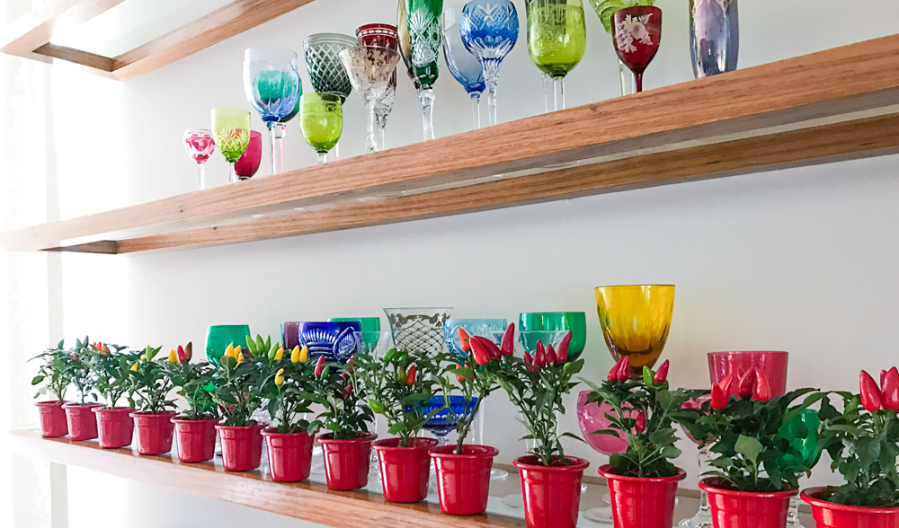 Vasos de pimentas